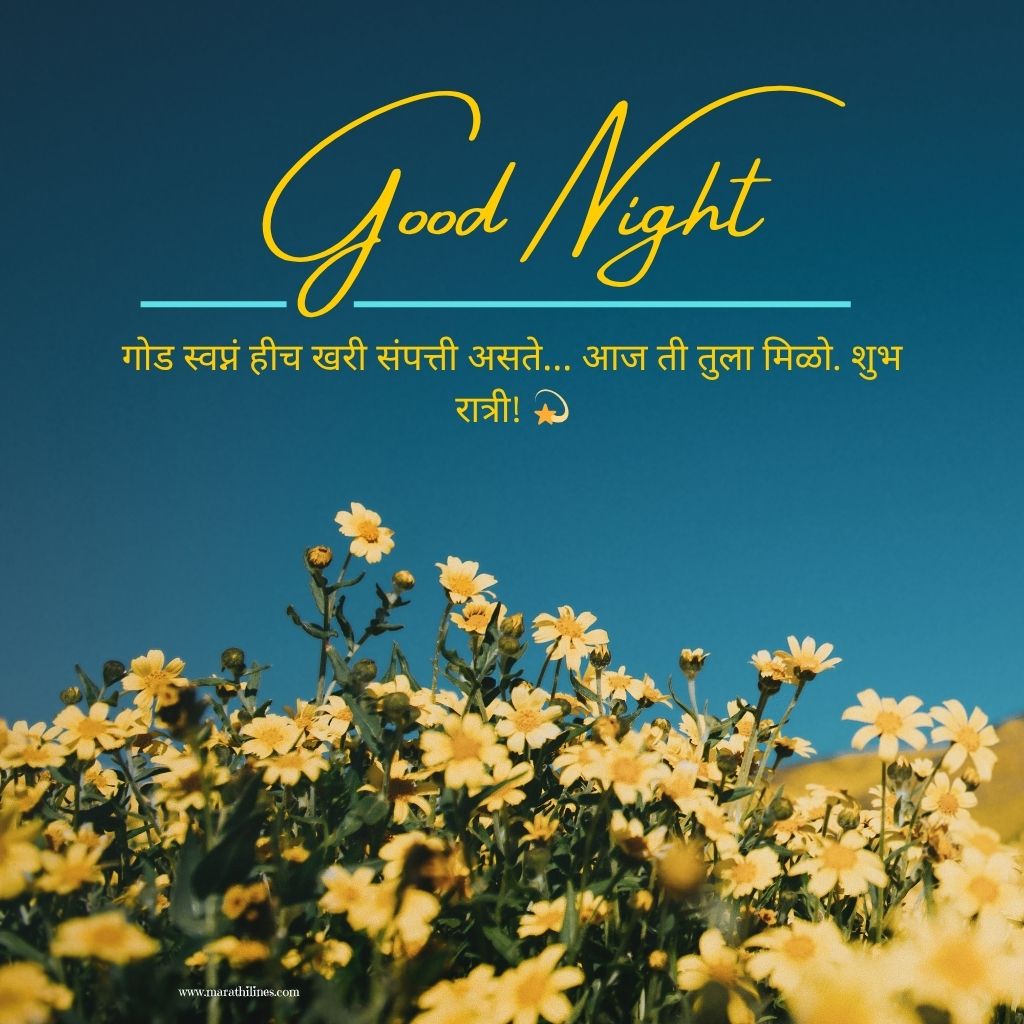 Special Good Night Wishes for Family in Marathi